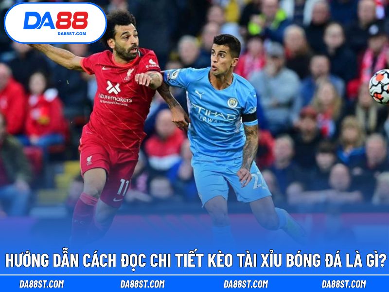 Đọc đơn giản và dễ hiểu trong kèo tài xỉu bóng đá là gì