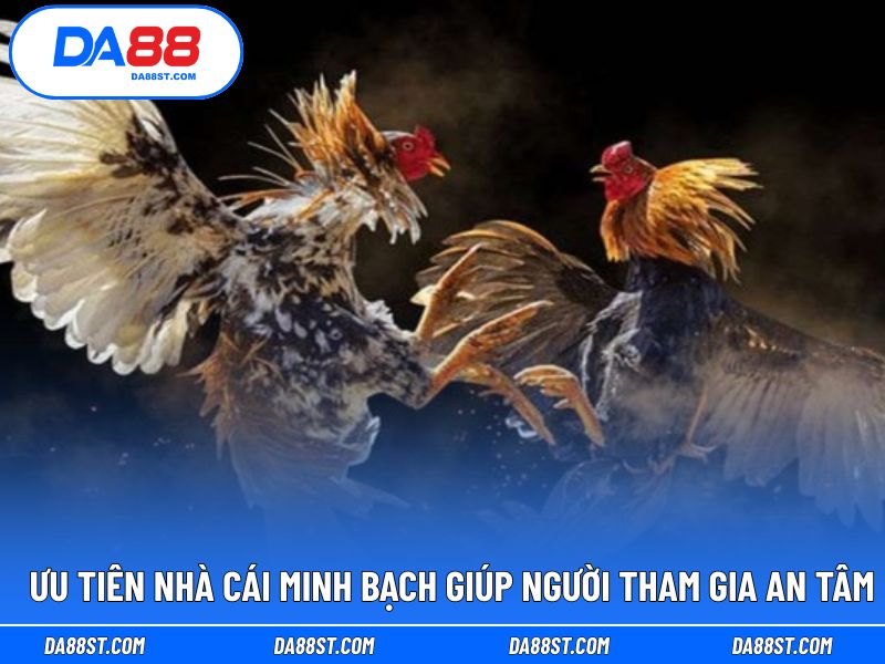 Ưu tiên nhà cái minh bạch giúp người tham gia an tâm